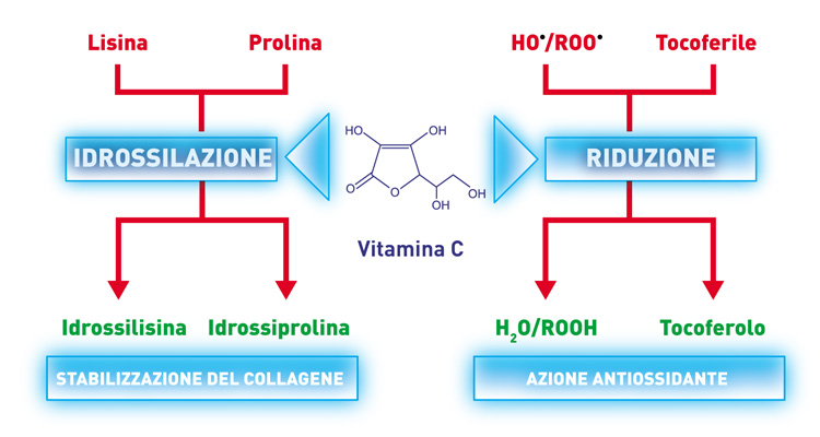 Cellfood VitaminaC spray 4
