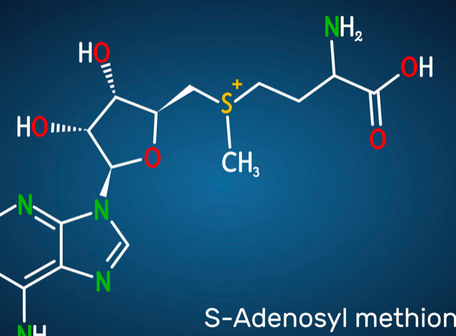 La S-adenosilmetionina è un alleato prezioso per il fegato