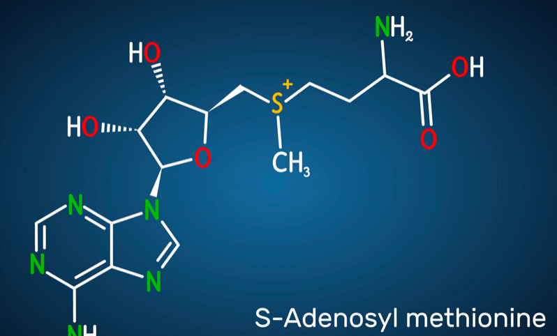 La S-adenosilmetionina è un alleato prezioso per il fegato